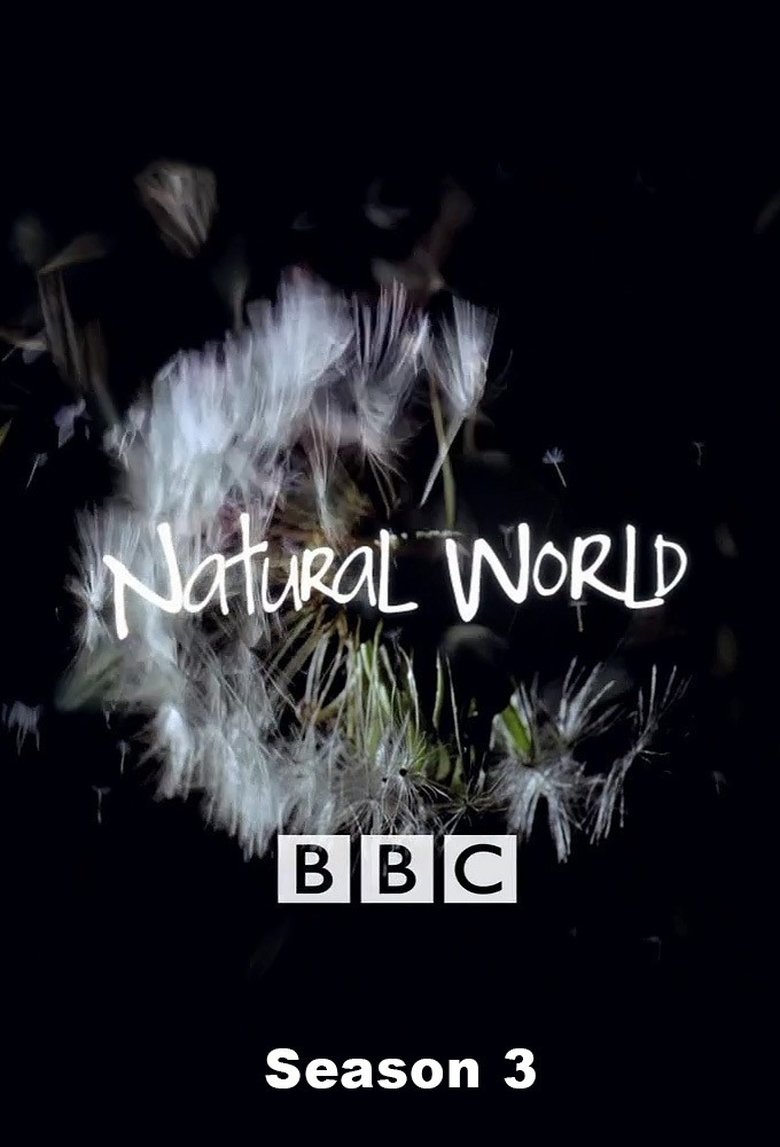 Cast and Crew in Natural World - Among The Wild Chimpanzees (Season 3 - Episode 1) - Among The Wild Chimpanzees Poster of Cast and Crew in Natural World - Among The Wild Chimpanzees (Season 3 - Episode 1) - Among The Wild Chimpanzees