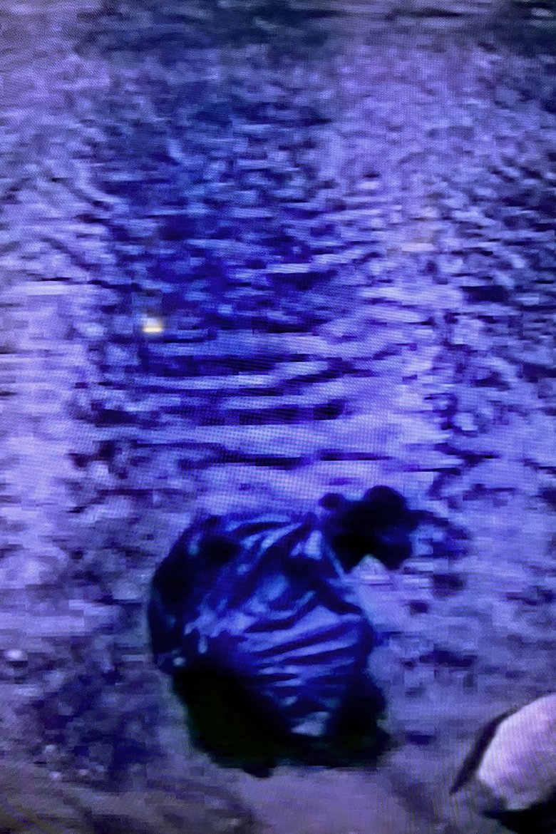 Today More Than Ever Poster of Today More Than Ever