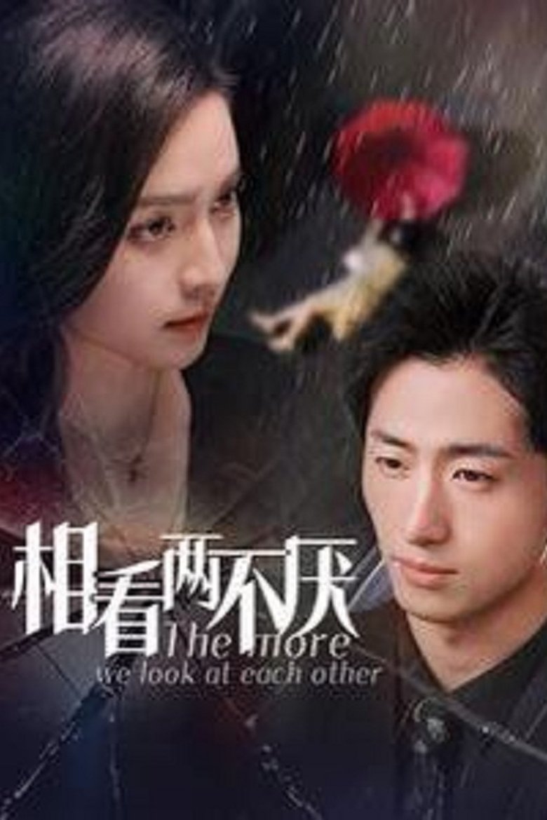 相看两不厌 Poster of 相看两不厌