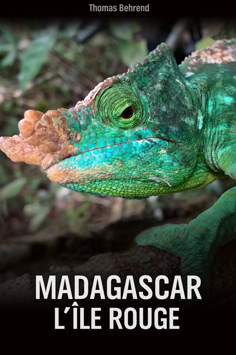 Unbekanntes Madagaskar Poster of Unbekanntes Madagaskar