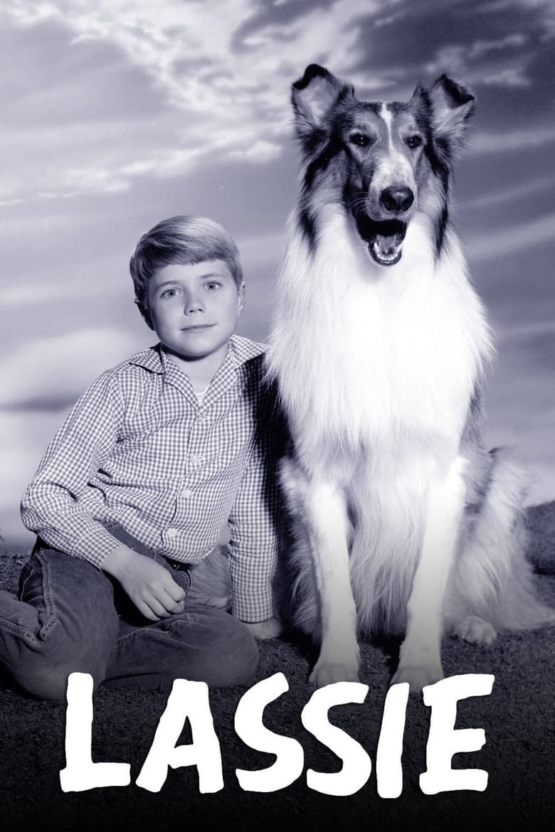 Lassie Poster of Lassie