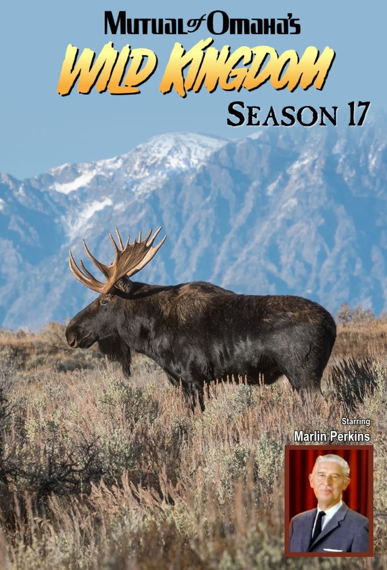 Episodes in Mutual Of Omaha's Wild Kingdom - Season 17 - Season 17 Poster of Episodes in Mutual Of Omaha's Wild Kingdom - Season 17 - Season 17