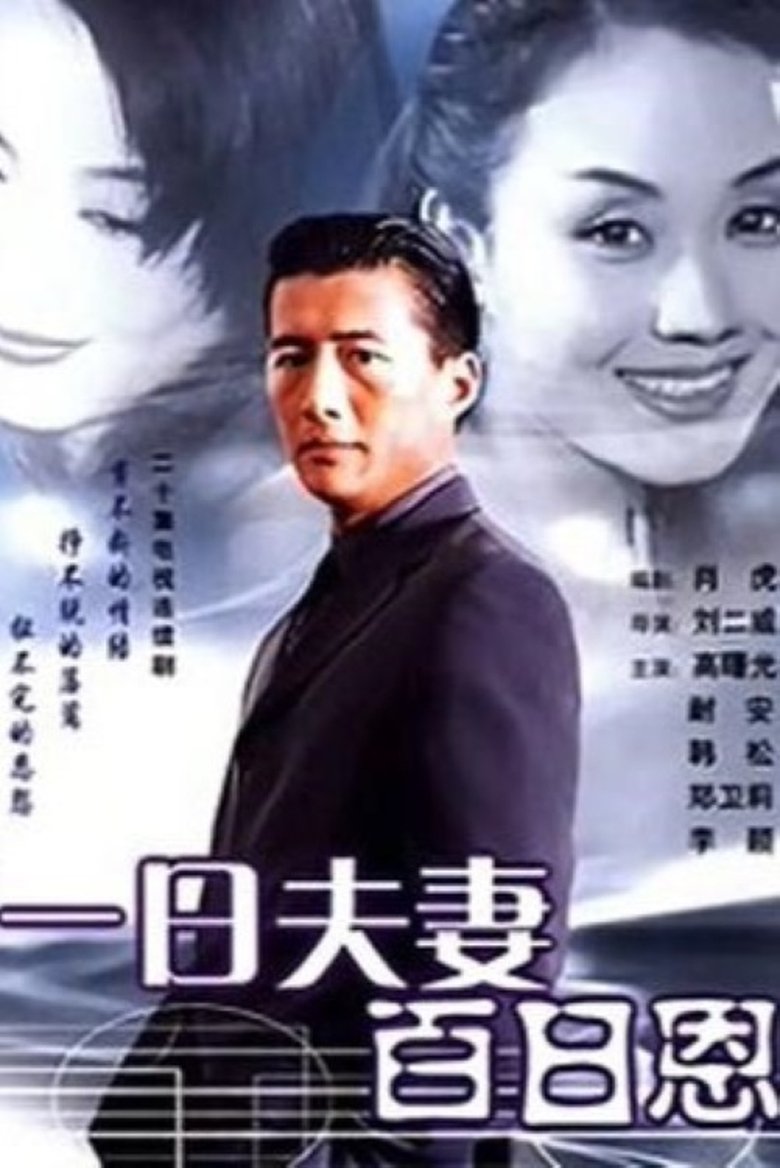一日夫妻百日恩 Poster of 一日夫妻百日恩