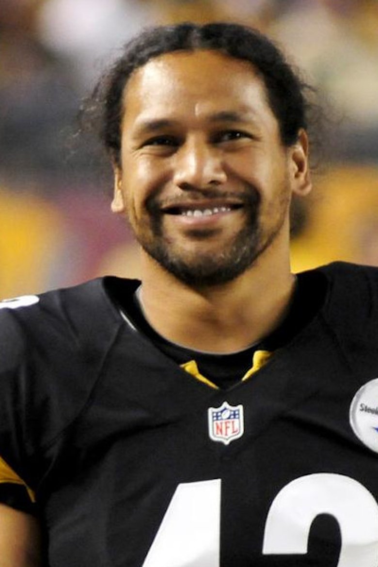 Troy Polamalu Portrait of Troy Polamalu