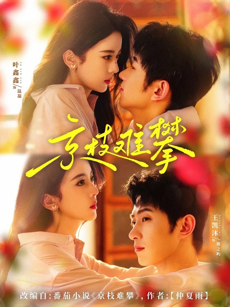 Episodes in 京枝难攀 - Season 1 - Season 1 Poster of Episodes in 京枝难攀 - Season 1 - Season 1
