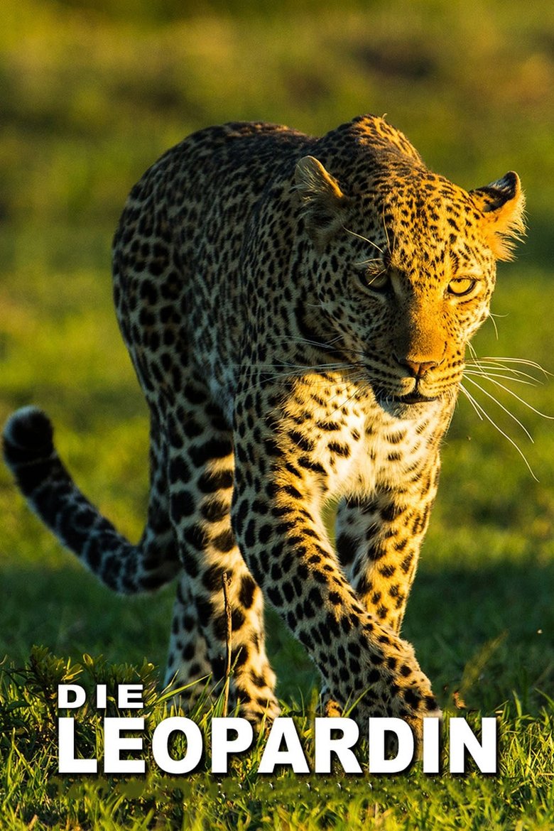 The Leopardess Poster of The Leopardess
