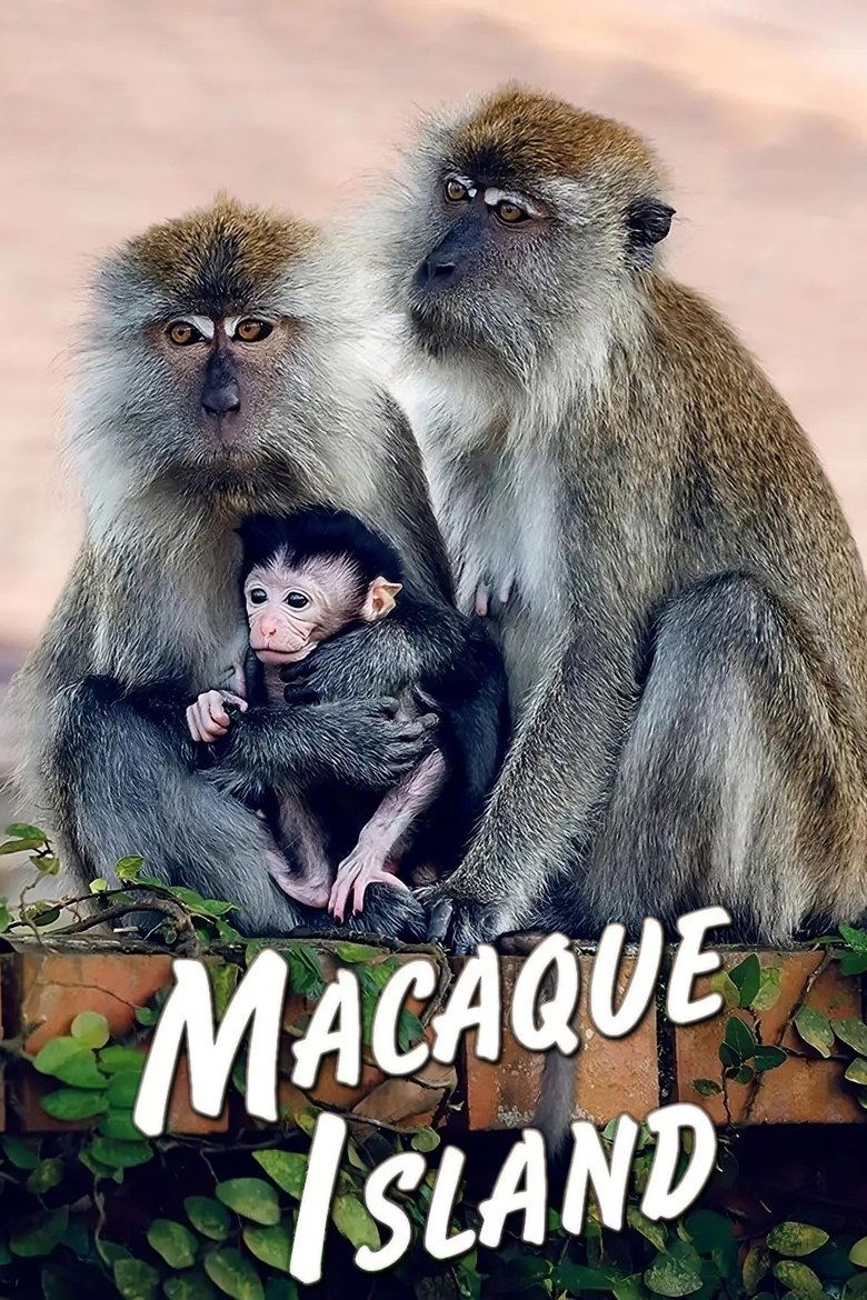 Macaque Island Poster of Macaque Island