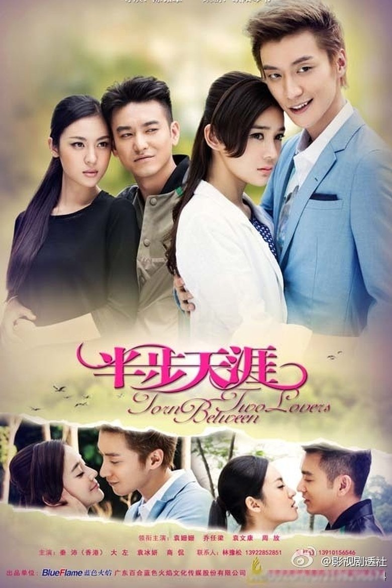 Torn Between Two Lovers Poster of Torn Between Two Lovers