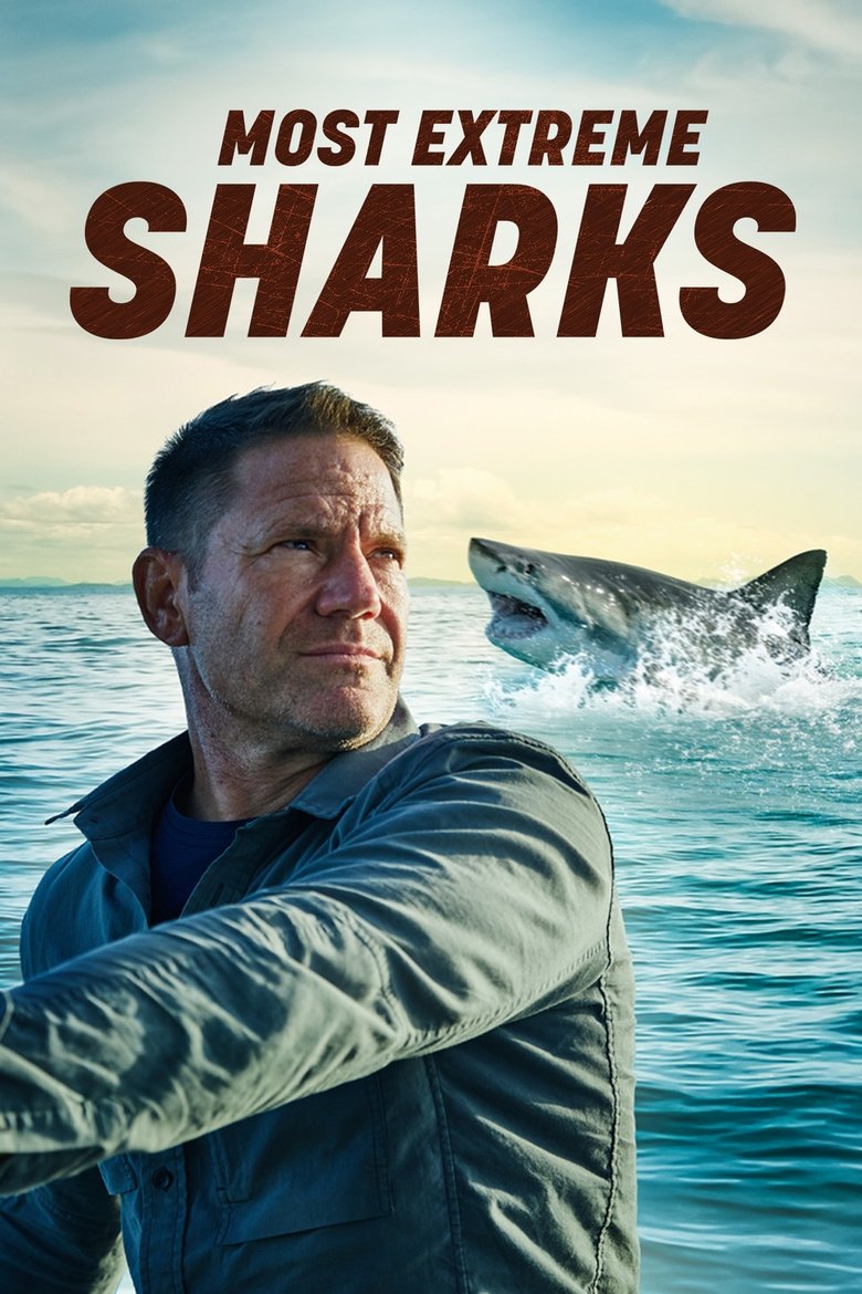 Most Extreme Sharks Poster of Most Extreme Sharks