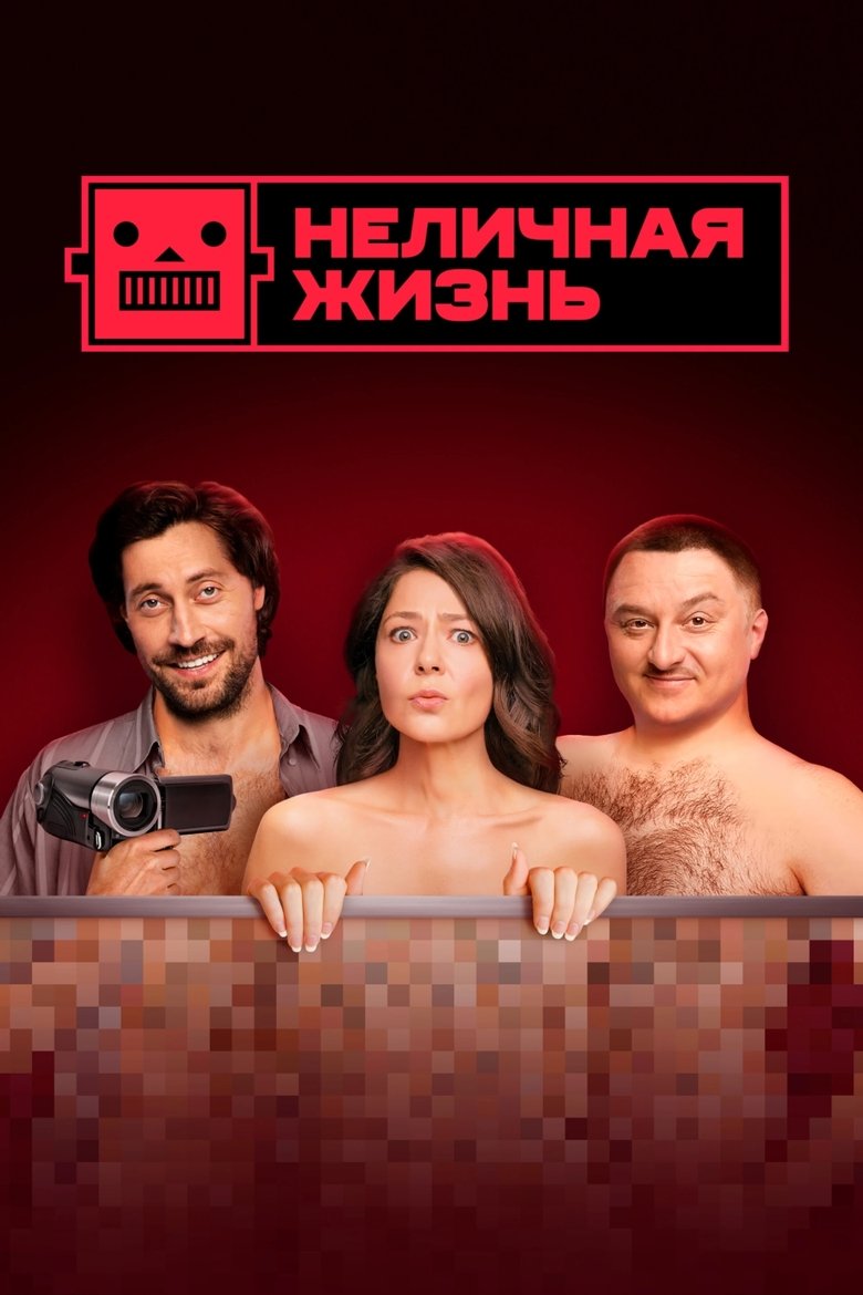 Not a Personal Life Poster of Not a Personal Life