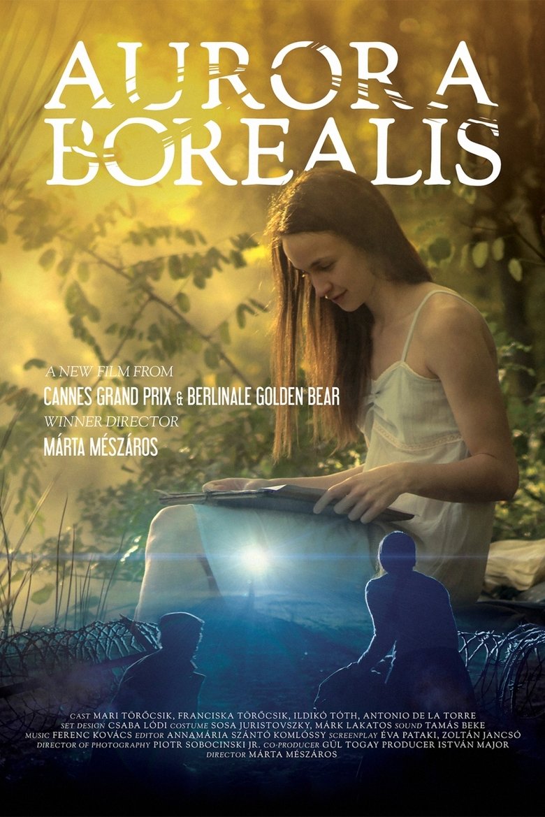 Aurora Borealis: Northern Light Poster of Aurora Borealis: Northern Light