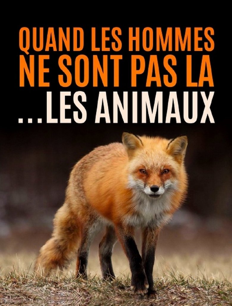 Quand l’homme n’est pas là... les animaux dansent ! Poster of Quand l’homme n’est pas là... les animaux dansent !