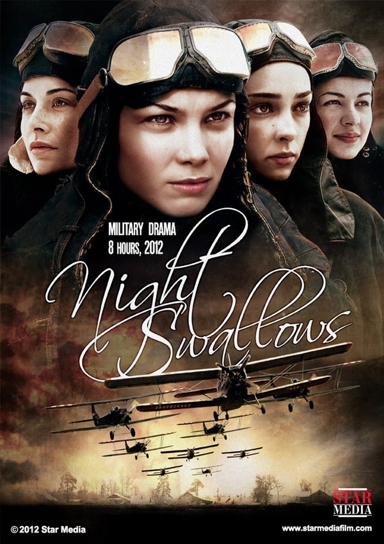 Night Swallows Poster of Night Swallows