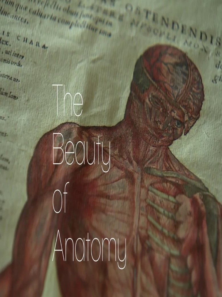 Episodes in The Beauty Of Anatomy - Season 1 - Season 1 Poster of Episodes in The Beauty Of Anatomy - Season 1 - Season 1
