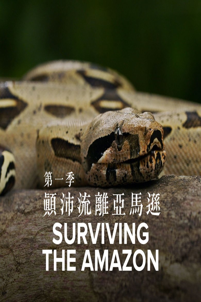 Surviving the Amazon Poster of Surviving the Amazon