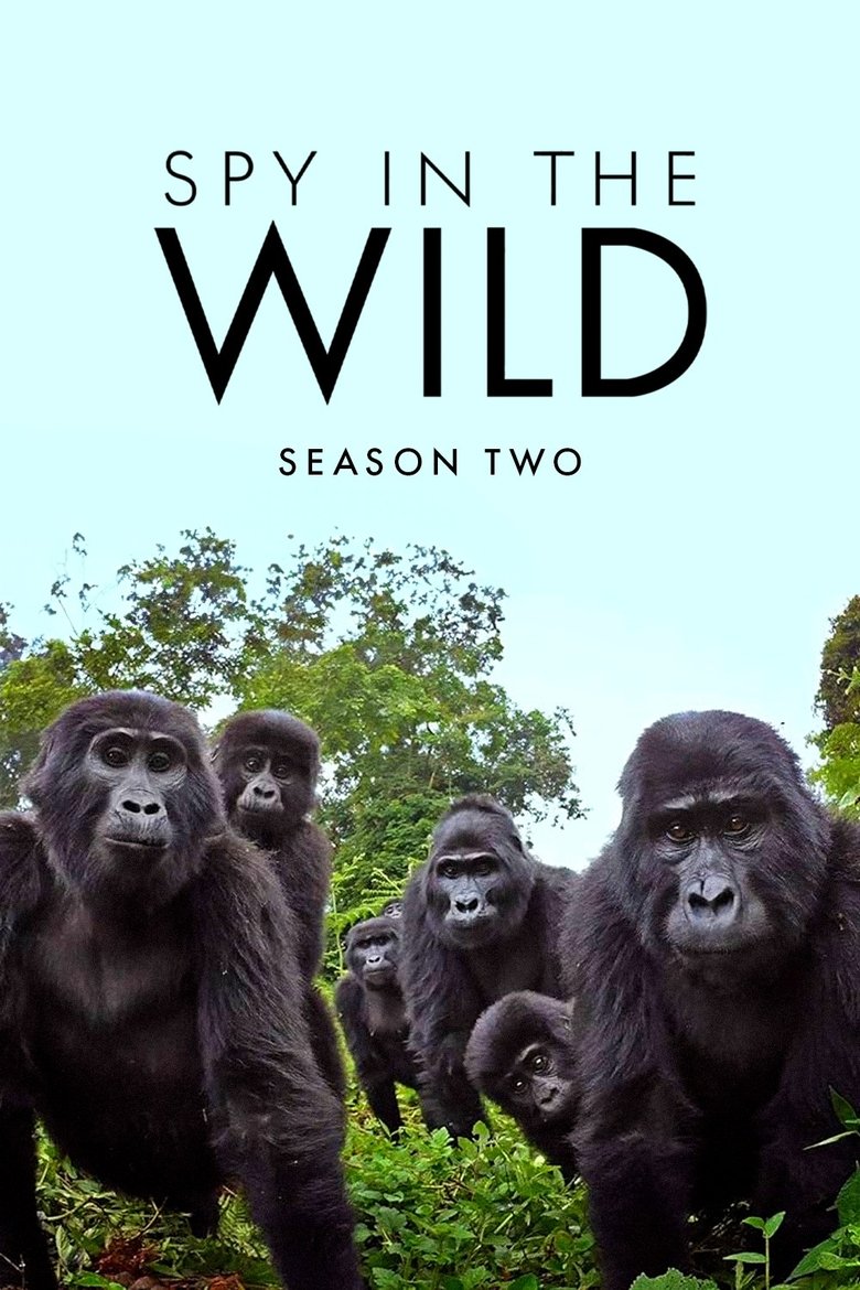 Episodes in Spy In The Wild - Season 2 - Season 2 Poster of Episodes in Spy In The Wild - Season 2 - Season 2