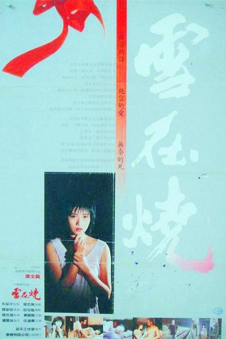 Poster of Burning Snow