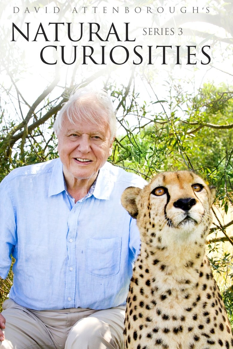 Episodes in David Attenborough's Natural Curiosities - Season 3 - Season 3 Poster of Episodes in David Attenborough's Natural Curiosities - Season 3 - Season 3