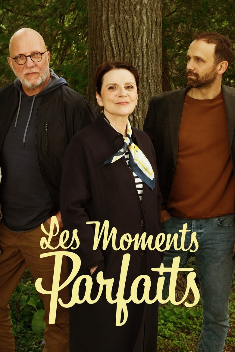 Episodes in Les Moments Parfaits - Season 2 - Season 2 Poster of Episodes in Les Moments Parfaits - Season 2 - Season 2