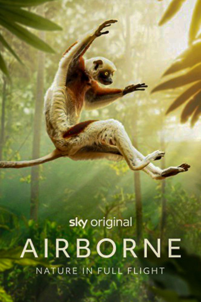 Airborne Poster of Airborne