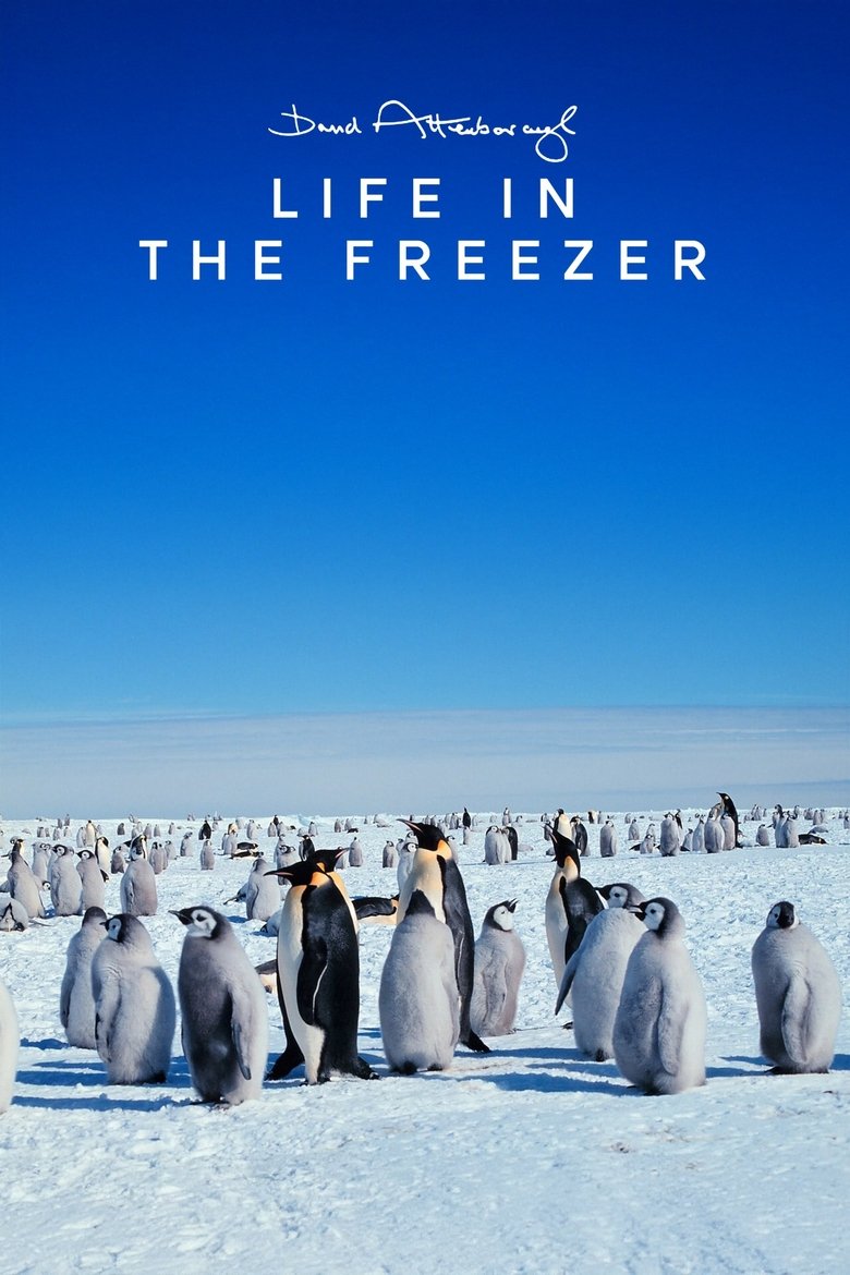 Episodes in Life In The Freezer - Miniseries - Miniseries Poster of Episodes in Life In The Freezer - Miniseries - Miniseries