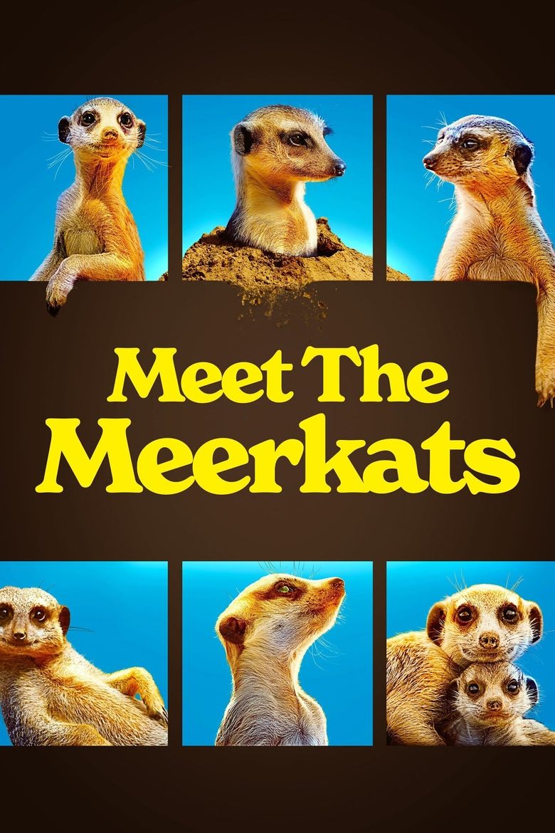 Meet The Meerkats Poster of Meet The Meerkats
