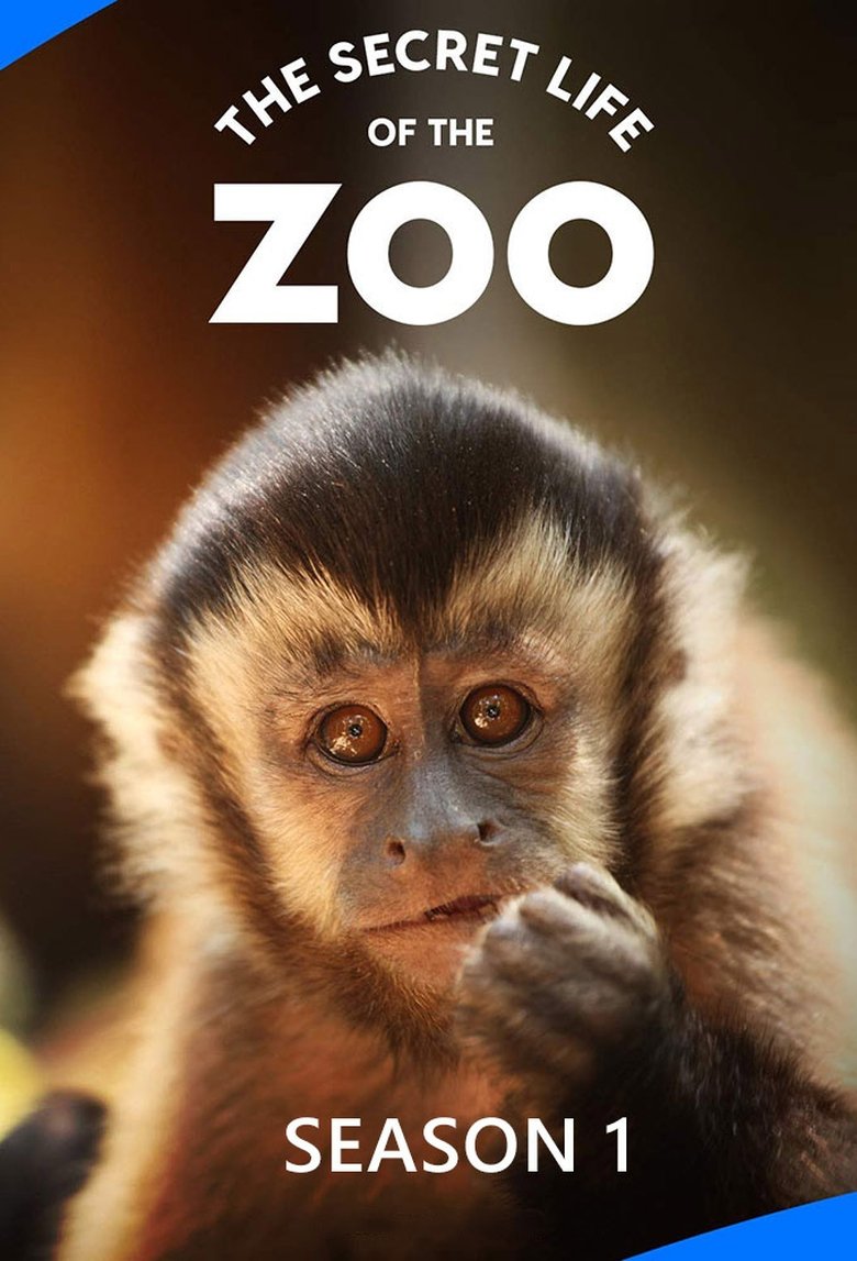 Episodes in The Secret Life Of The Zoo - Season 1 - Season 1 Poster of Episodes in The Secret Life Of The Zoo - Season 1 - Season 1