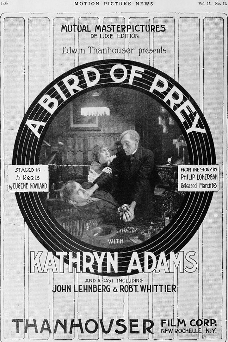 A Bird of Prey Poster of A Bird of Prey