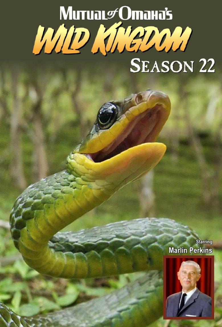 Episodes in Mutual Of Omaha's Wild Kingdom - Season 22 - Season 22 Poster of Episodes in Mutual Of Omaha's Wild Kingdom - Season 22 - Season 22