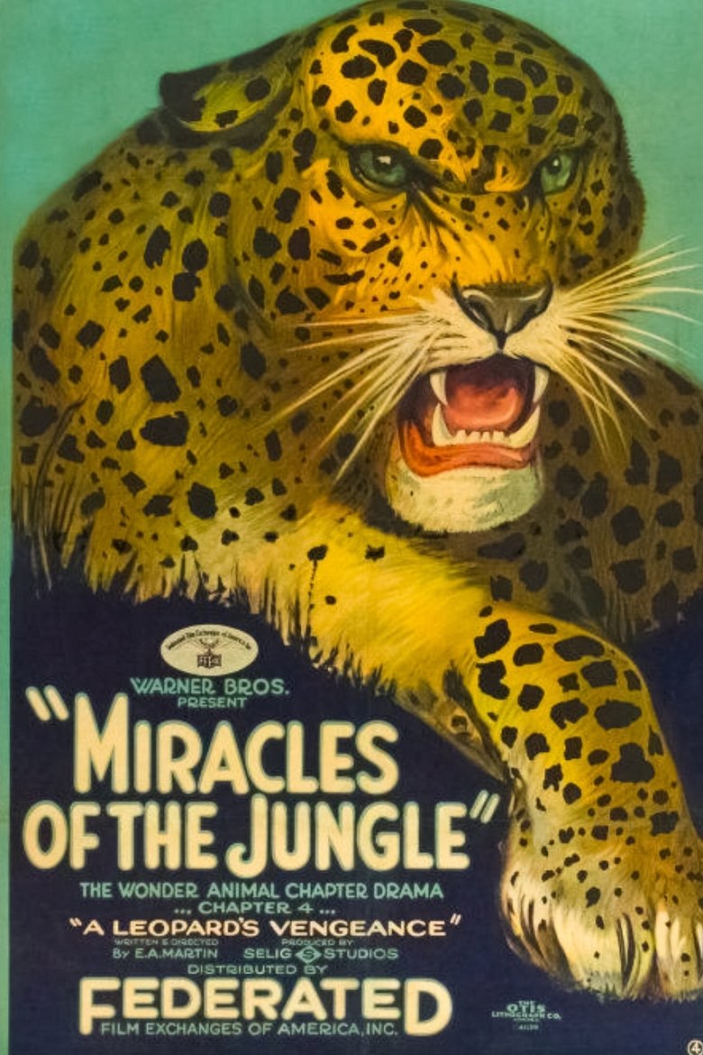 Miracles of the Jungle Poster of Miracles of the Jungle