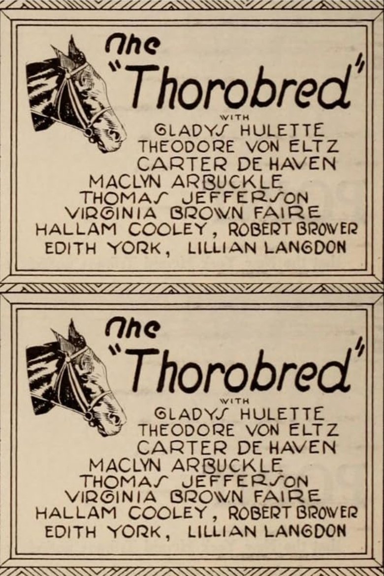 The Thoroughbred Poster of The Thoroughbred
