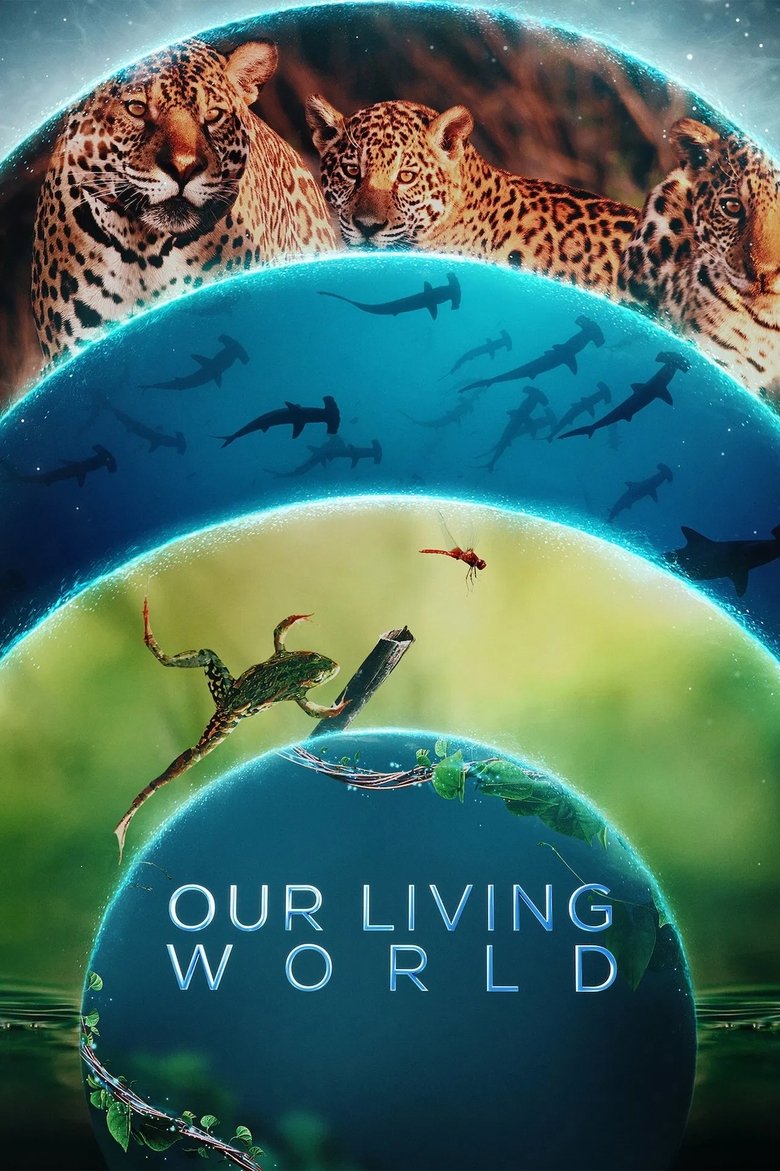 O Planeta Vivo Poster of O Planeta Vivo