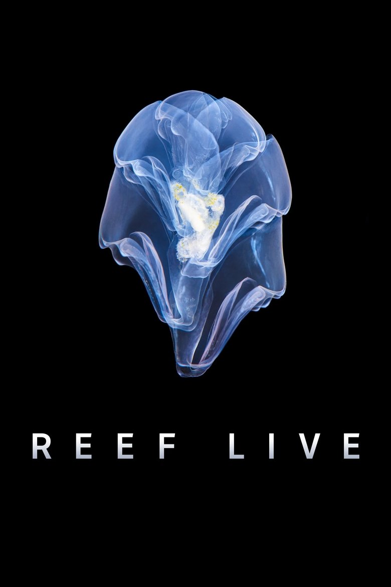 Reef Live Poster of Reef Live