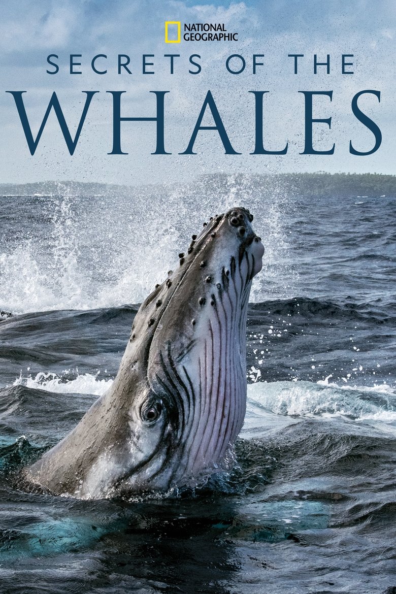 Episodes in Secrets Of The Whales - Season 1 - Season 1 Poster of Episodes in Secrets Of The Whales - Season 1 - Season 1