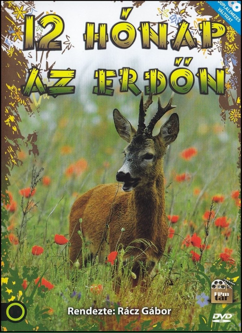 12 hónap az erdőn Poster of 12 hónap az erdőn