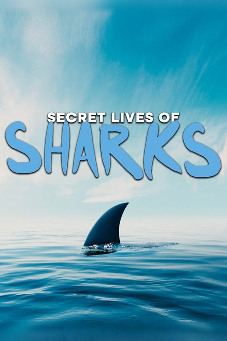 The Secret Lives of Sharks Poster of The Secret Lives of Sharks