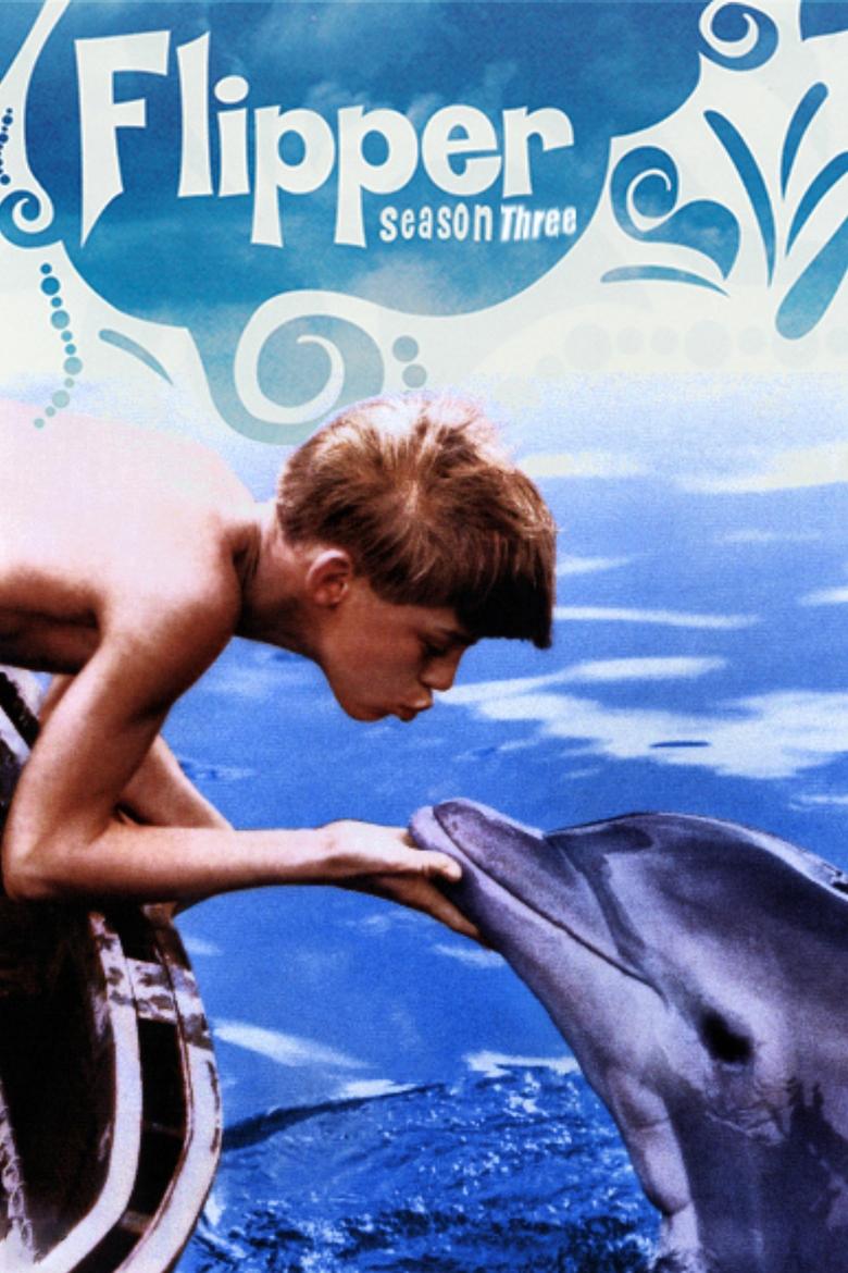 Cast and Crew in Flipper - Explosion (Season 3 - Episode 9) - Explosion Poster of Cast and Crew in Flipper - Explosion (Season 3 - Episode 9) - Explosion