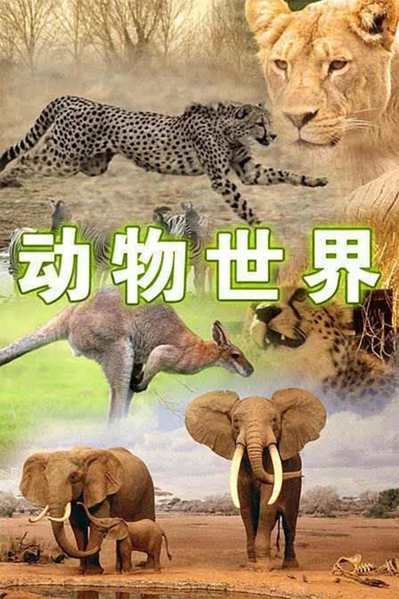 动物世界 Poster of 动物世界