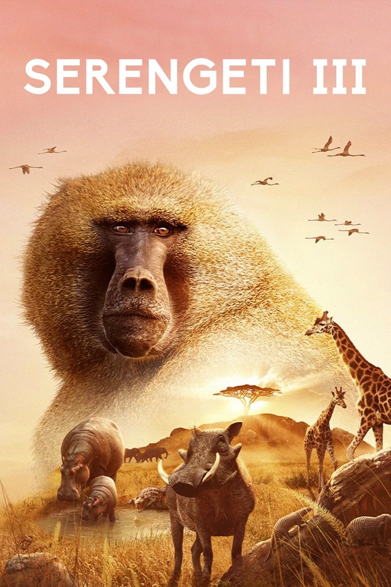 Episodes in Serengeti - Season 3 - Season 3 Poster of Episodes in Serengeti - Season 3 - Season 3