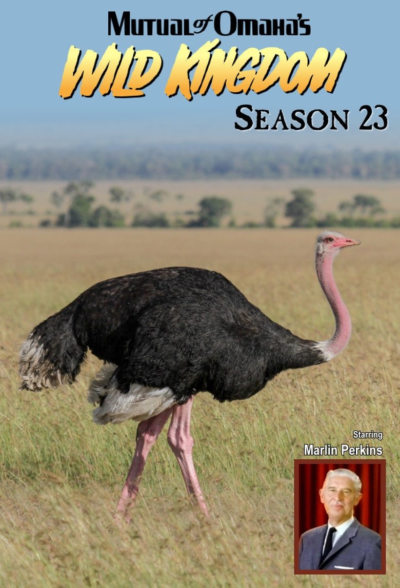 Episodes in Mutual Of Omaha's Wild Kingdom - Season 23 - Season 23 Poster of Episodes in Mutual Of Omaha's Wild Kingdom - Season 23 - Season 23