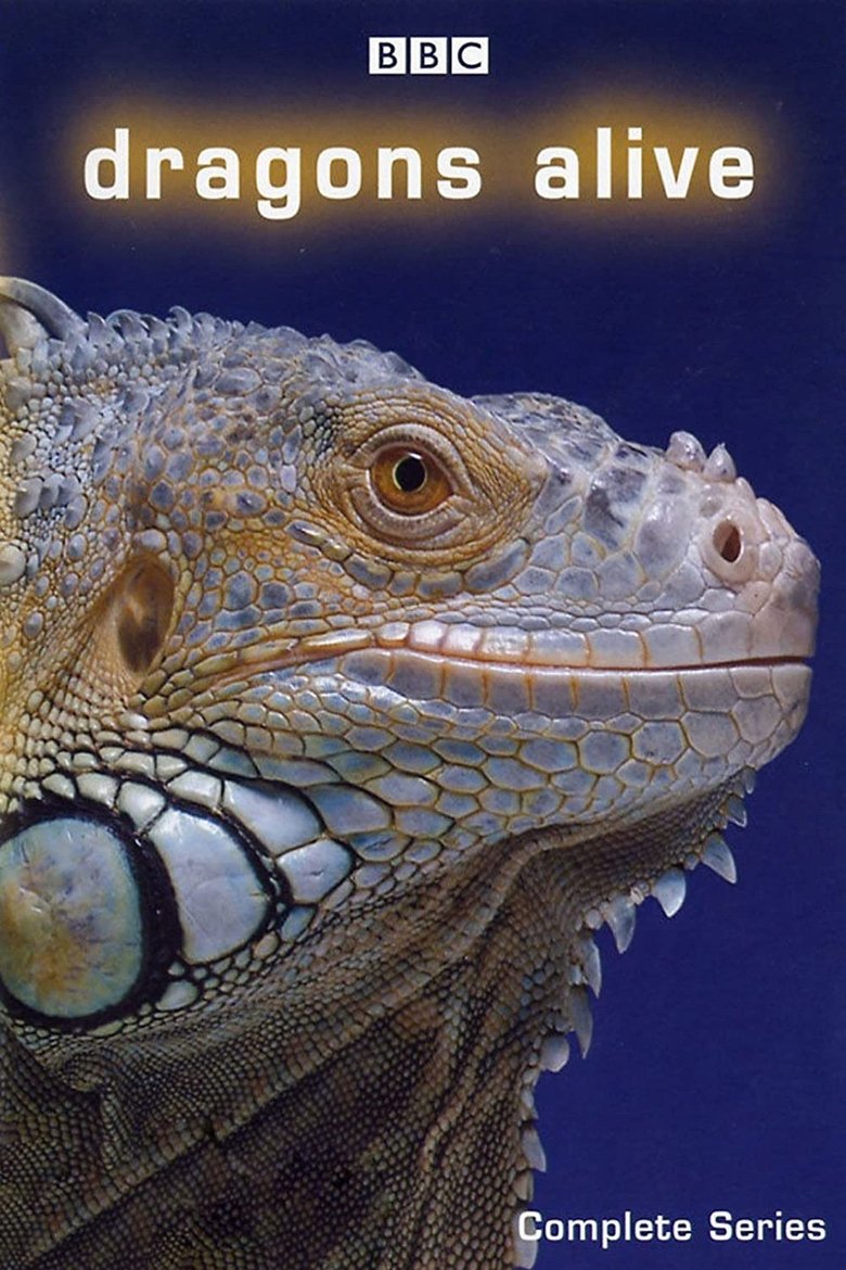 Episodes in Dragons Alive - Season 1 - Season 1 Poster of Episodes in Dragons Alive - Season 1 - Season 1