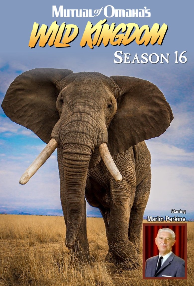 Episodes in Mutual Of Omaha's Wild Kingdom - Season 16 - Season 16 Poster of Episodes in Mutual Of Omaha's Wild Kingdom - Season 16 - Season 16