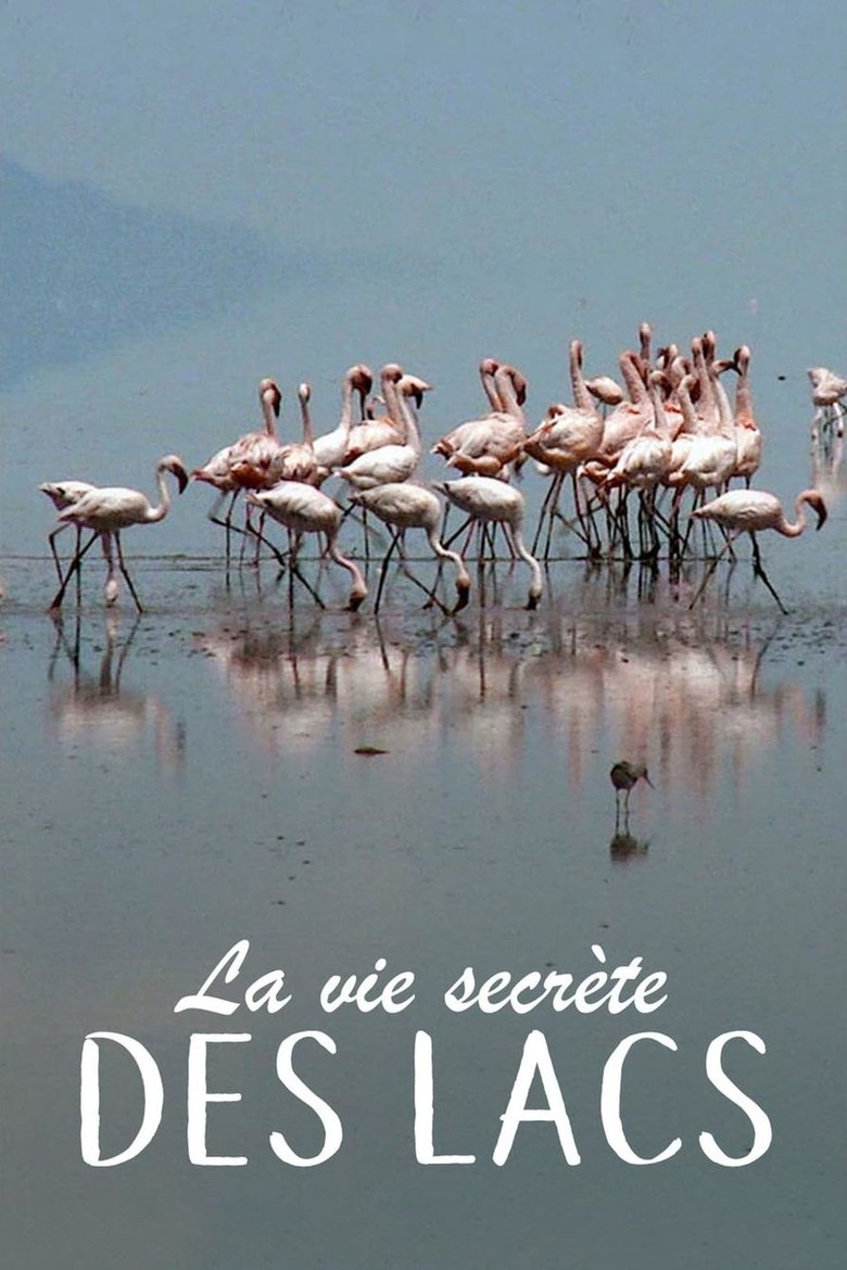 Episodes in Secret Life Of Lakes - Season 1 - Season 1 Poster of Episodes in Secret Life Of Lakes - Season 1 - Season 1