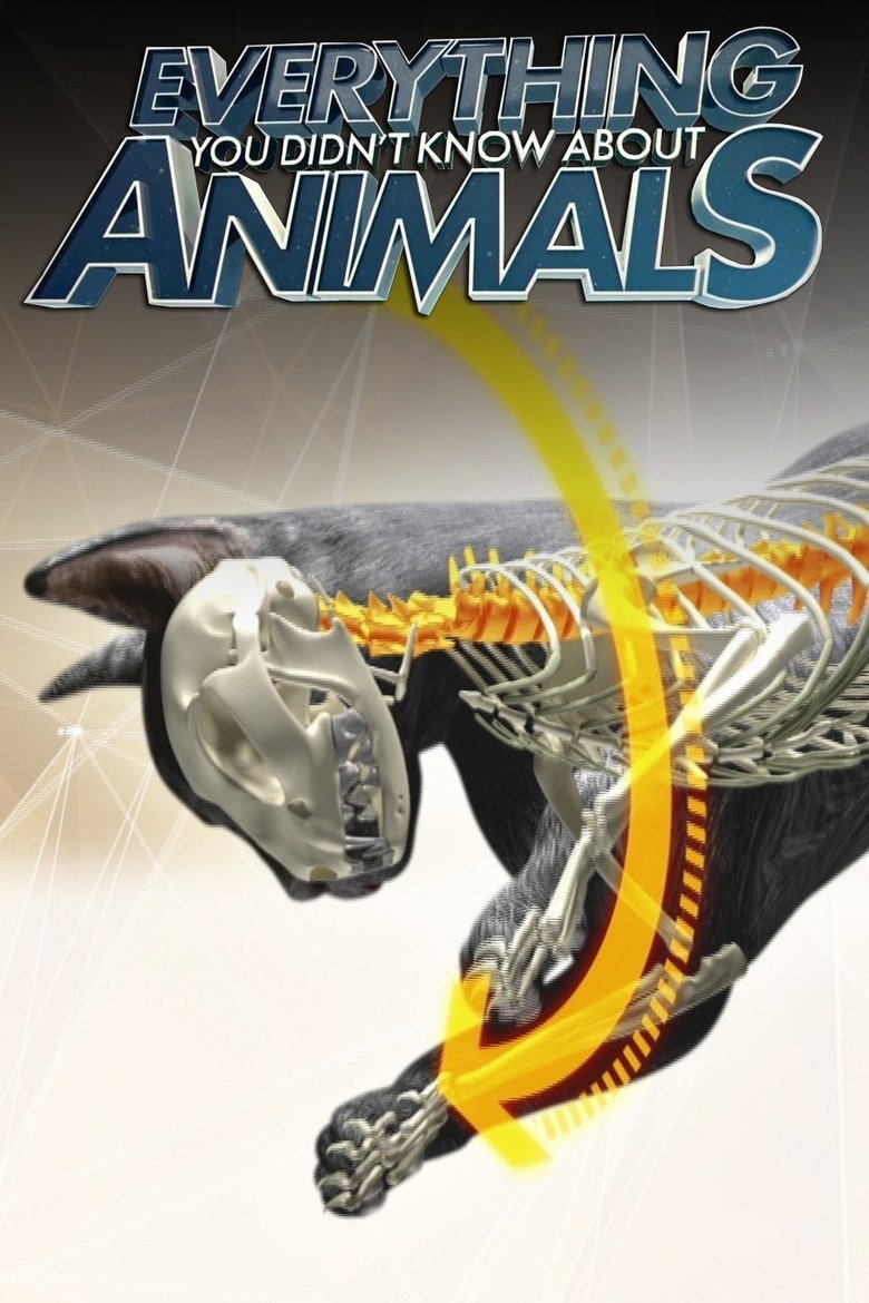 Everything You Didn't Know About Animals Poster of Everything You Didn't Know About Animals