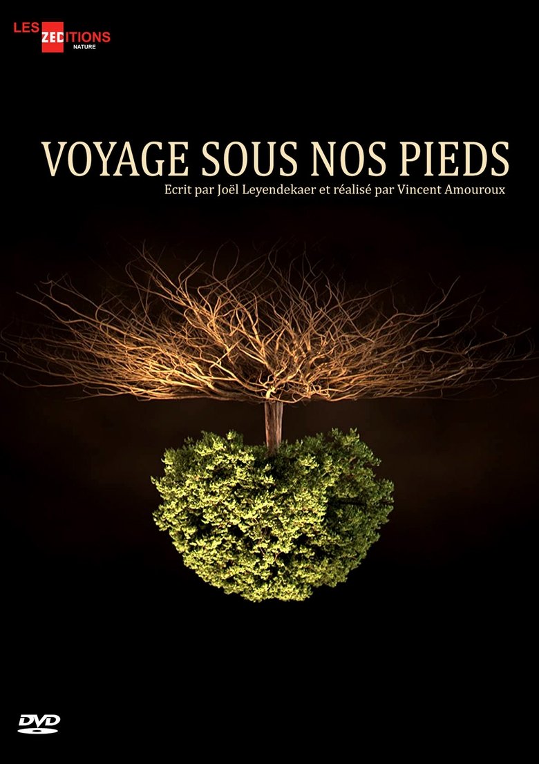 Voyage sous nos pieds Poster of Voyage sous nos pieds