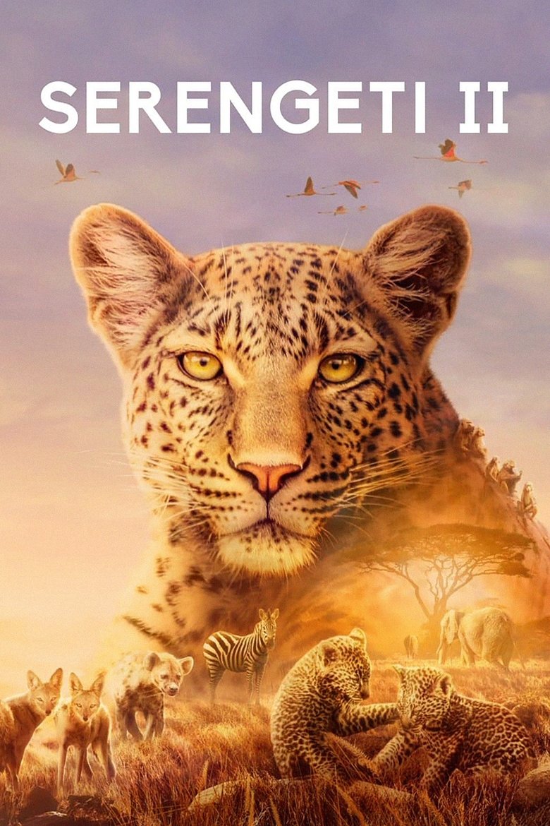 Episodes in Serengeti - Season 2 - Season 2 Poster of Episodes in Serengeti - Season 2 - Season 2