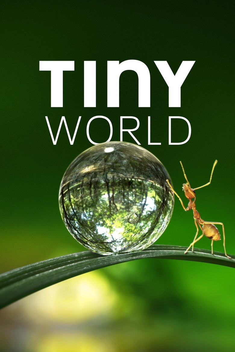 Cast and Crew in Tiny World - Garden (Season 1 - Episode 6) - Garden Poster of Cast and Crew in Tiny World - Garden (Season 1 - Episode 6) - Garden
