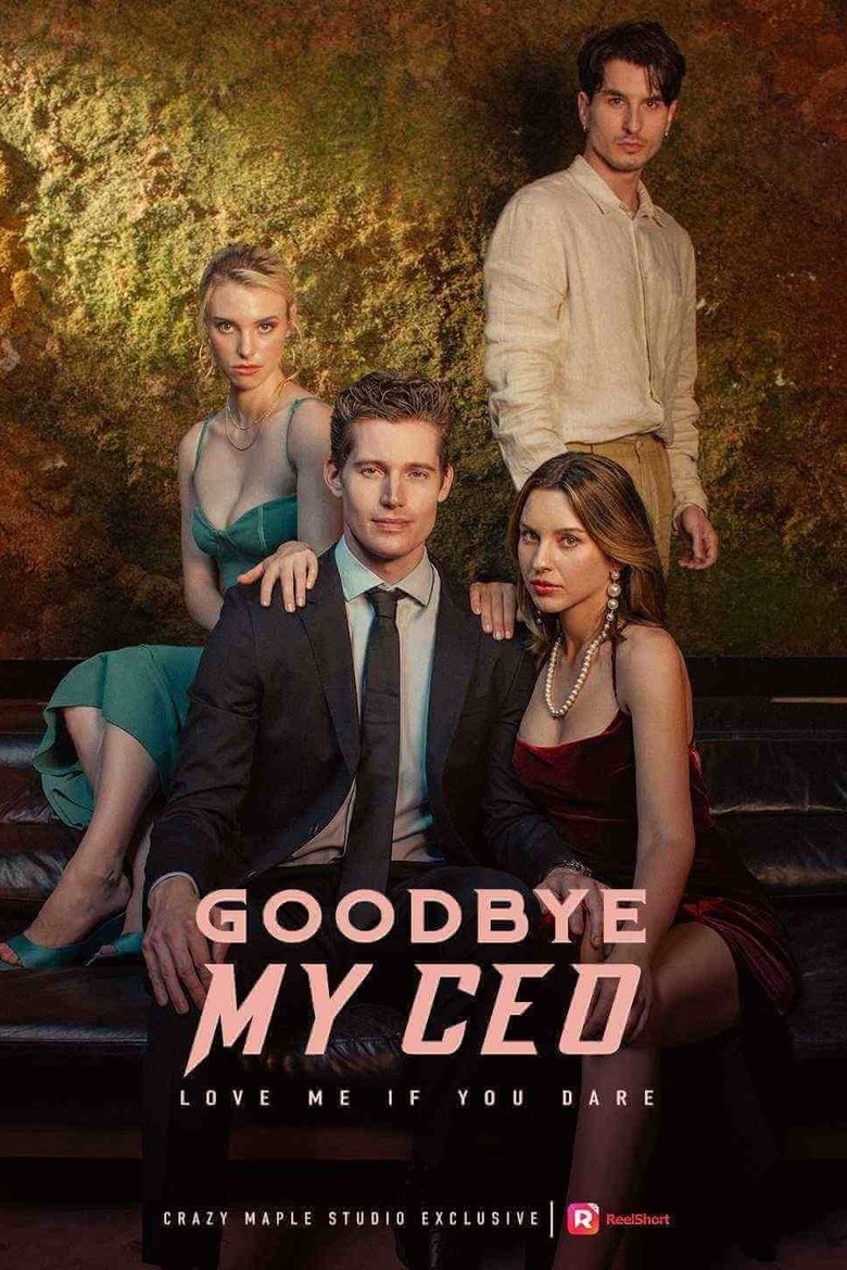 Goodbye, My CEO Poster of Goodbye, My CEO
