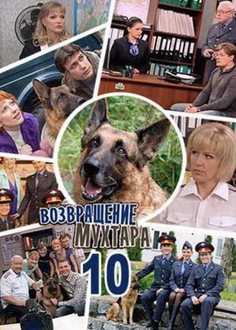 Episodes in Mukhtar's Return - Season 10 - Season 10 Poster of Episodes in Mukhtar's Return - Season 10 - Season 10