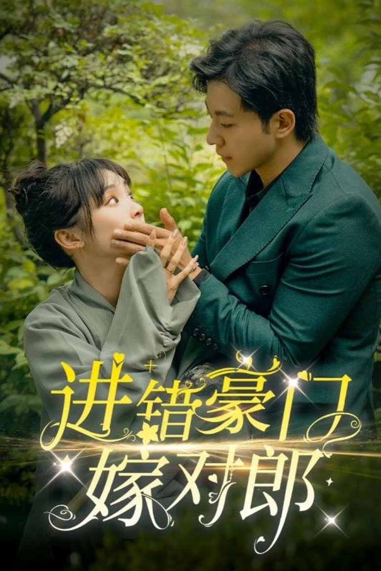 进错豪门嫁对郎 Poster of 进错豪门嫁对郎